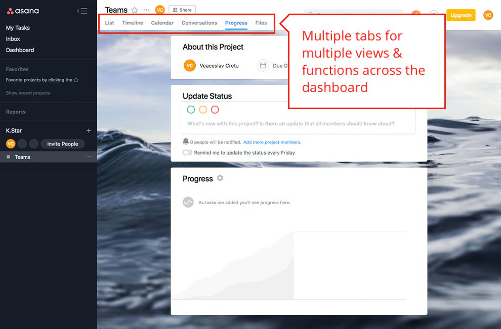 Asana dashboard
