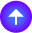 Blood Flow Velocity icon