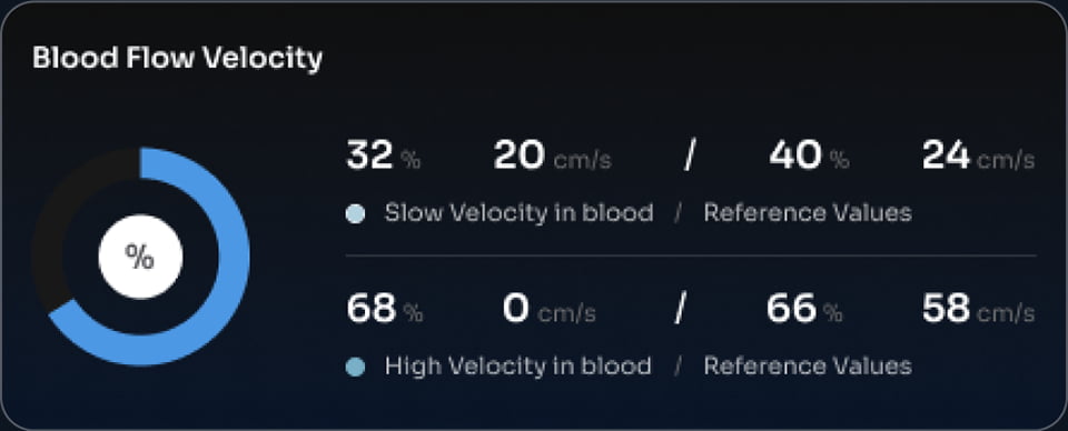 Blood Flow Velocity