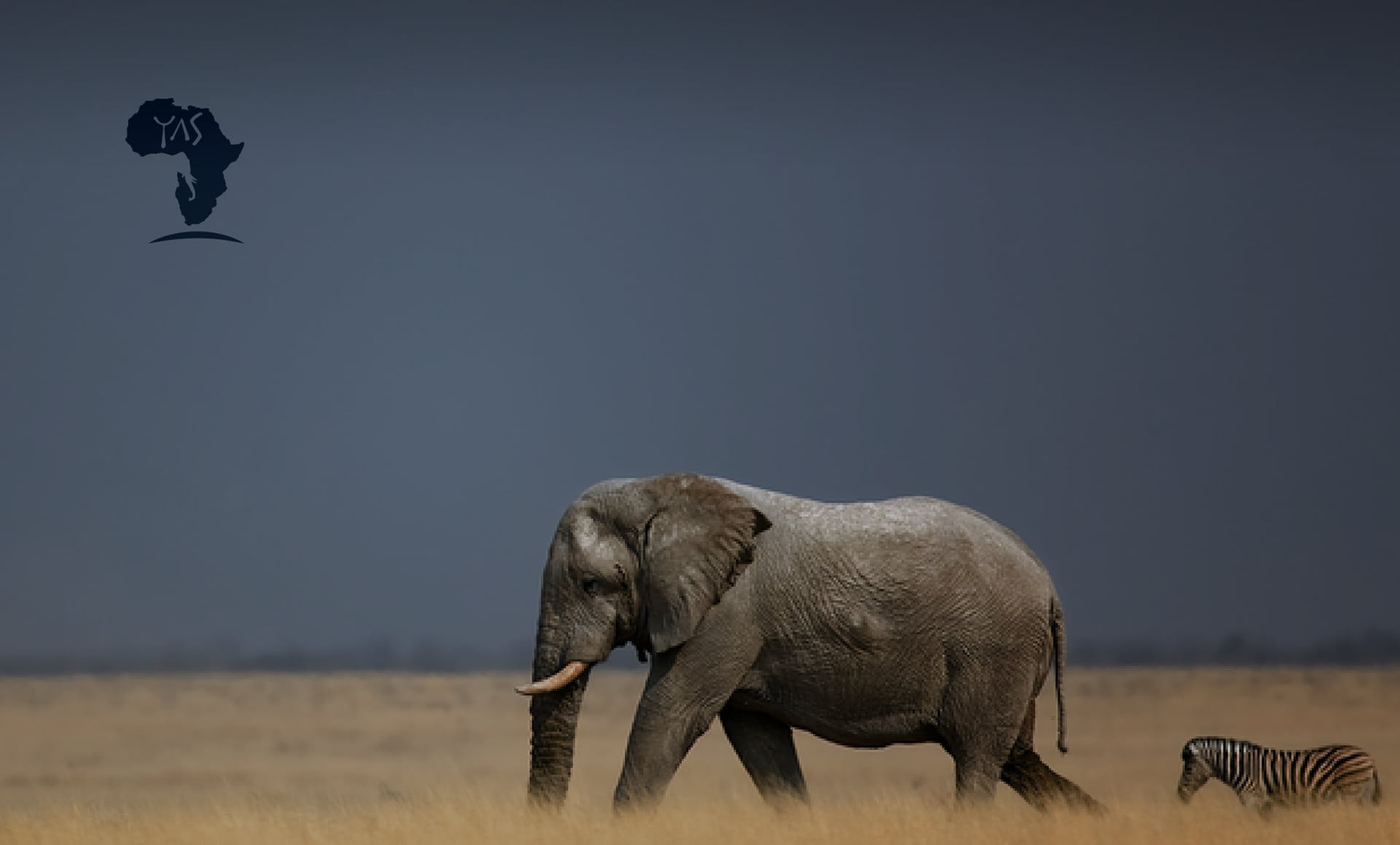 Your African Safari project cover